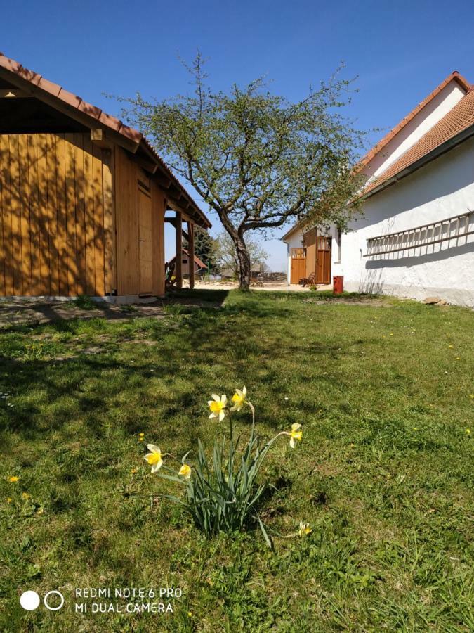 Ubytovani Ve Stodole Stráž nad Nežárkou Kültér fotó